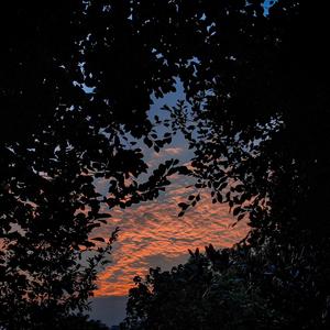 16岁穿紧身裤唇沟明显吗
